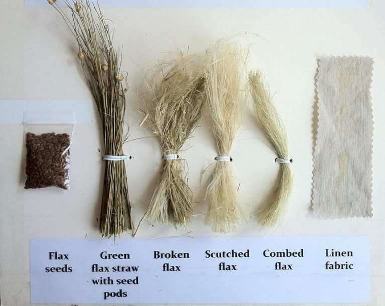 Flax To Linen Process UNFUSED Deo Veritas Online Journal STYLE flax-to-linen-process-unfused-deo-veritas-online-journal-style